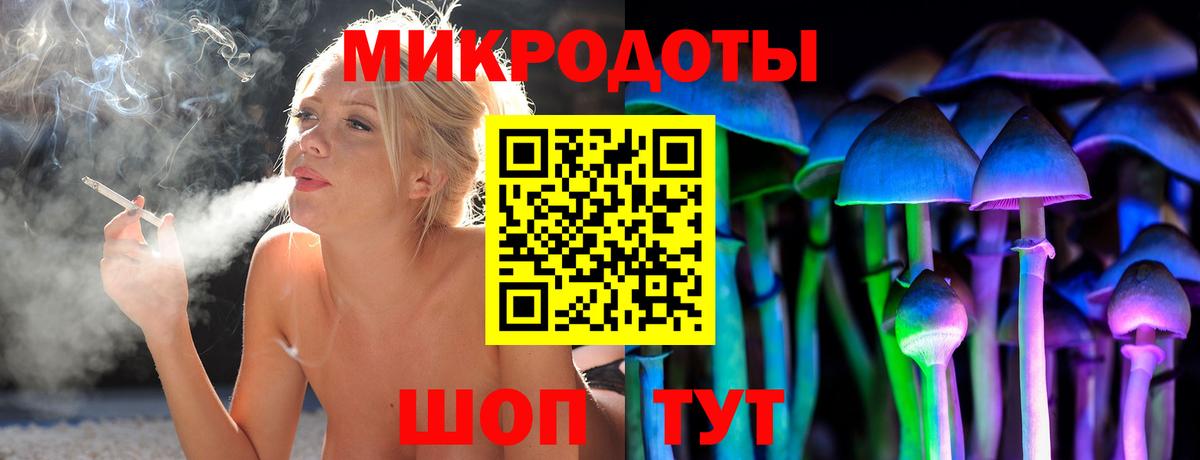 Псилоцибиновые грибы мицелий Кострома